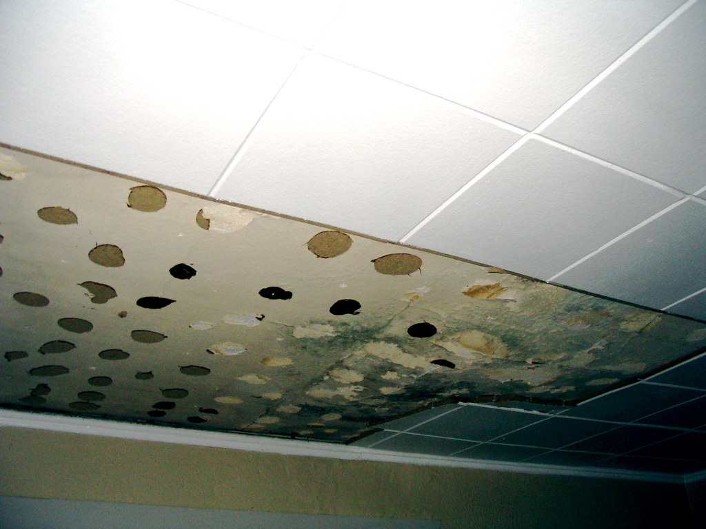 Acoustic Ceiling Solutions for Offices: A Buyer's Guide